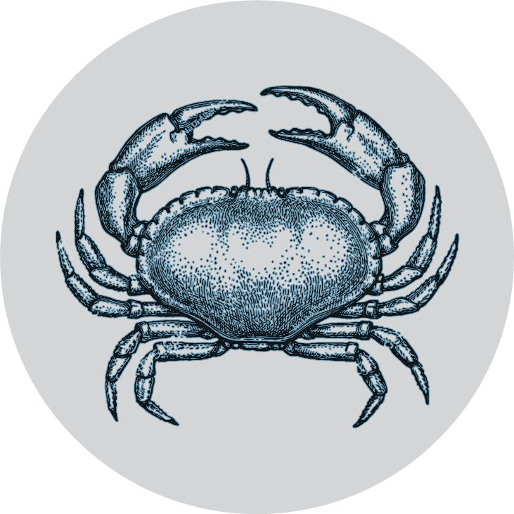 crabe